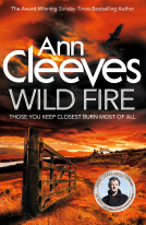book cover for Wild Fire