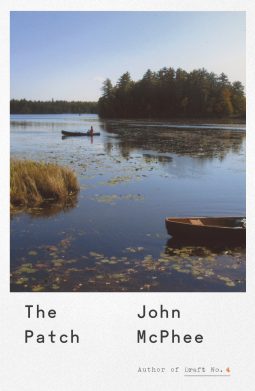 book cover for The Patch