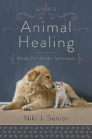 book cover for Animal Healing