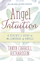 book cover for Angel Intuition