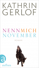 Buchcover für Nenn mich November