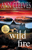 book cover for Wild Fire