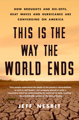 book cover for This Is the Way the World Ends