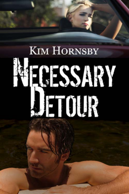 book cover for Necessary Detour