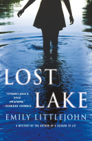 book cover for Lost Lake