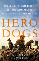 book cover for Hero Dogs