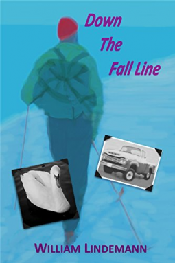 book cover for Down The Fall Line