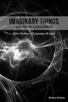 book cover for Imaginary Things (Inside the mind of a schizophrenic)