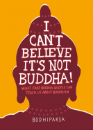 book cover for I Can't Believe It's Not Buddha!
