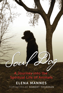book cover for Soul Dog