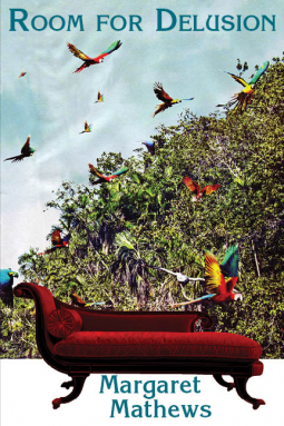 book cover for Room for Delusion