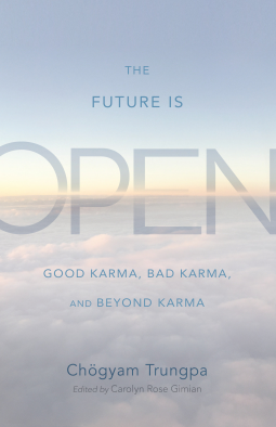 book cover for The Future Is Open