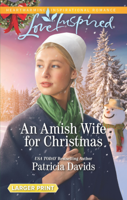 book cover for An Amish Wife for Christmas