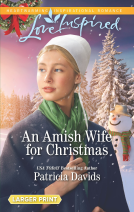 book cover for An Amish Wife for Christmas