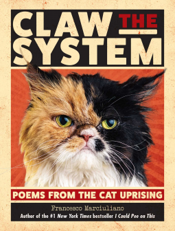 book cover for Claw the System