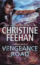 book cover for Vengeance Road