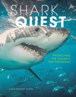 book cover for Shark Quest
