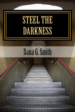 book cover for Steel the Darkness