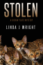 Cover Image: Stolen: A Kieran Yeats Mystery
