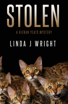 book cover for Stolen: A Kieran Yeats Mystery