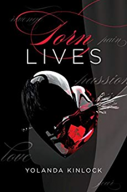 book cover for Torn Lives