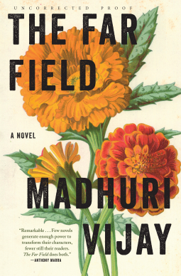book cover for The Far Field