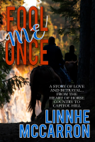 book cover for Fool Me Once