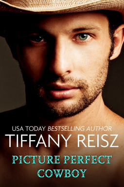book cover for Picture Perfect Cowboy