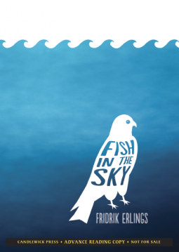 book cover for Fish in the Sky