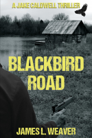 book cover for Blackbird Road
