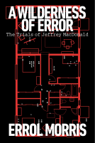book cover for A Wilderness of Error