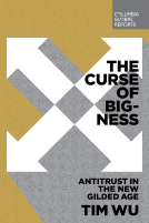 book cover for The Curse of Bigness
