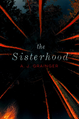 book cover for The Sisterhood