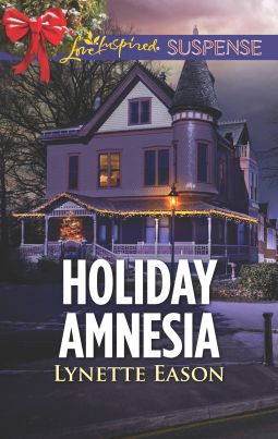 book cover for Holiday Amnesia