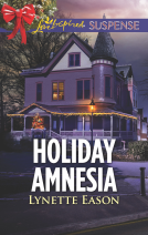 book cover for Holiday Amnesia