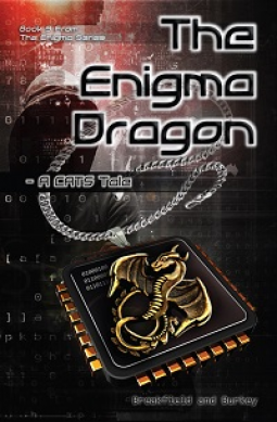 book cover for The Enigma Dragon