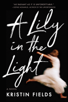 book cover for A Lily in the Light
