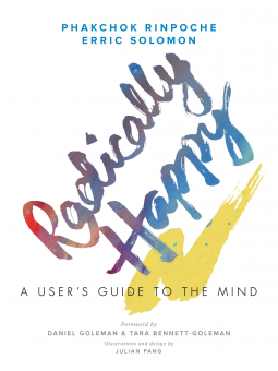 book cover for Radically Happy