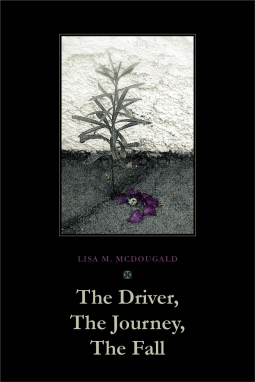 book cover for The Driver, The Journey, The Fall (Advance Reading Copy)