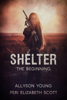 book cover for Shelter