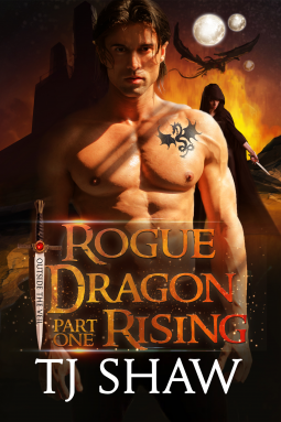 book cover for Rogue Dragon Rising