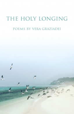book cover for The Holy Longing