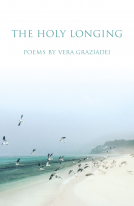 book cover for The Holy Longing