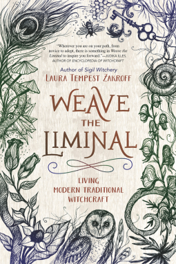 book cover for Weave the Liminal