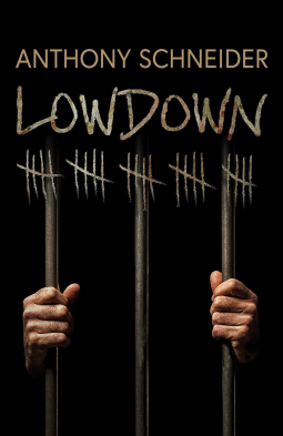 book cover for Lowdown