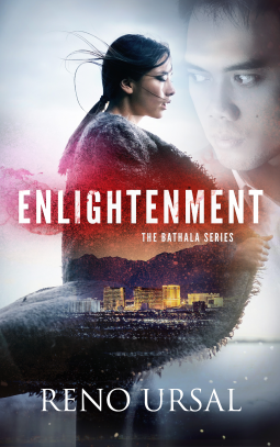 book cover for Enlightenment