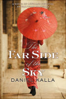 book cover for The Far Side of the Sky