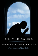 book cover for Everything in Its Place
