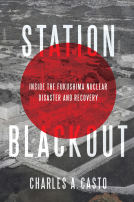 book cover for Station Blackout
