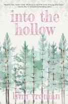 book cover for Into the Hollow
